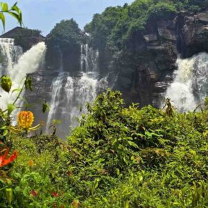 NuuTel Africa eSIM data plan