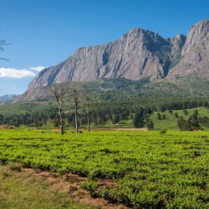 NuuTel Africa eSIM data plan